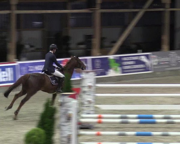 Reitturnier Negernbötel 2020, 4. Nordic Jumping event 2020/2021