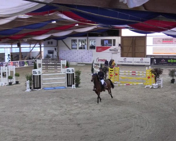 Reitturnier Negernbötel 2020, 4. Nordic Jumping event 2020/2021