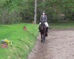 jumper Hope of happiness (Oldenburg, 2008, from Samba Hit III)
