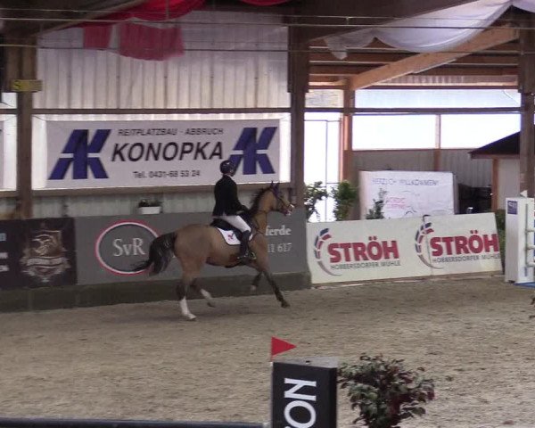 Reitturnier Negernbötel 2020, 4. Nordic Jumping event 2020/2021