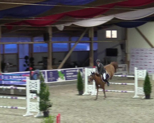 Reitturnier Negernbötel 2020, 4. Nordic Jumping event 2020/2021