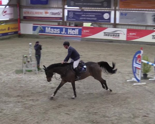 Reitturnier Negernbötel 2020, 4. Nordic Jumping event 2020/2021