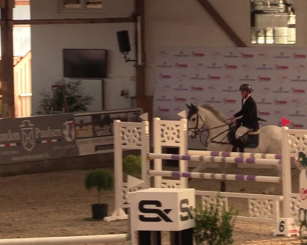 Reitturnier Negernbötel 2020, 4. Nordic Jumping event 2020/2021