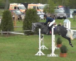 jumper Hof Schretstakens Anna (Holsteiner, 2008, from Cachas)