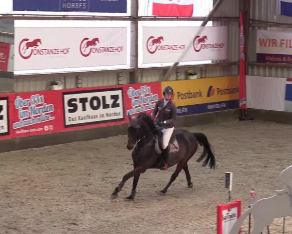 Reitturnier Negernbötel 2020, 4. Nordic Jumping event 2020/2021