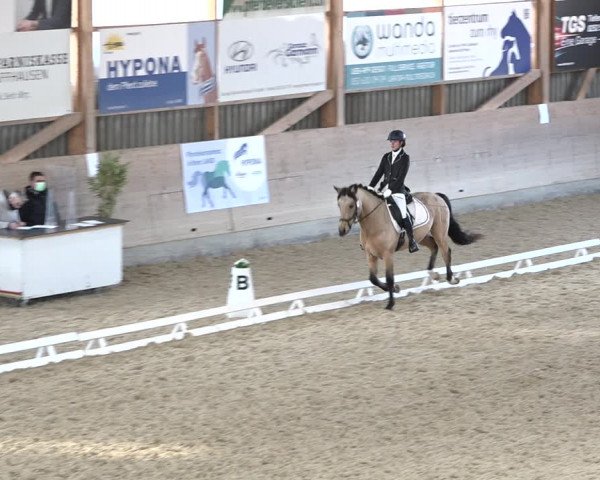 Reitturnier Schaffhausen 2020