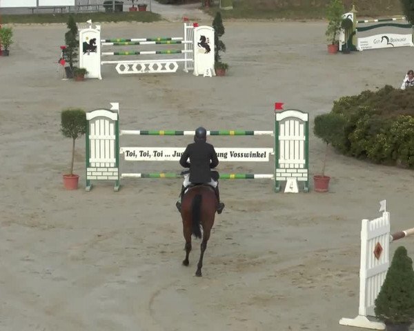 jumper Baton Rouge 3 (KWPN (Royal Dutch Sporthorse), 2006, from Tangelo van de Zuuthoeve)