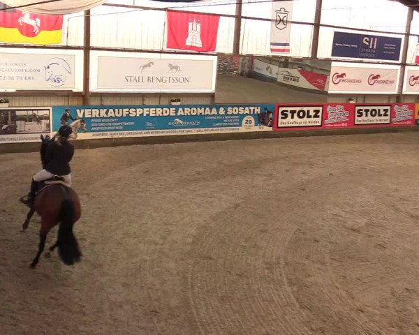 Reitturnier Negernbötel 2020, 4. Nordic Jumping event 2020/2021
