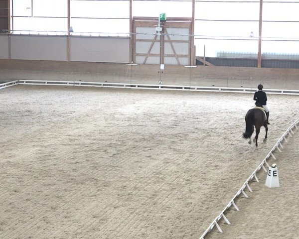 Reitturnier Schaffhausen 2020