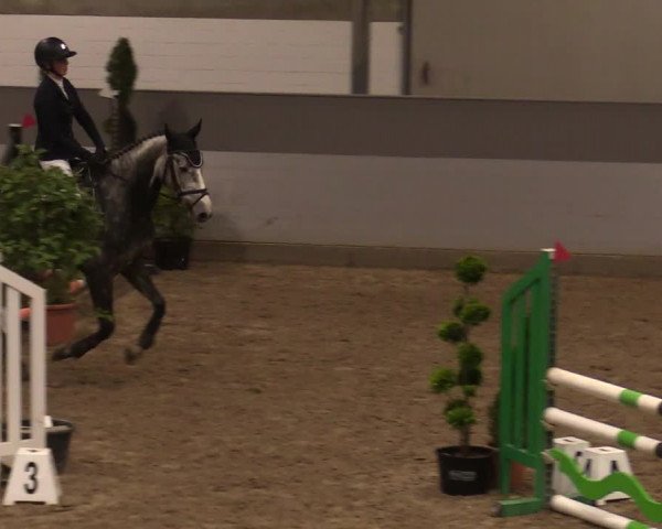 Reitturnier Luhmühlen 2020