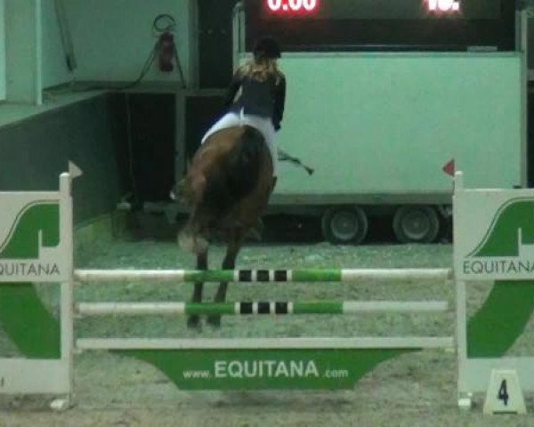 jumper Clainer Mann (Holsteiner, 2008, from Coriano)