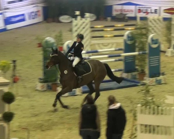 Springpferd Consita 2 (Holsteiner, 2007, von Con Sherry)