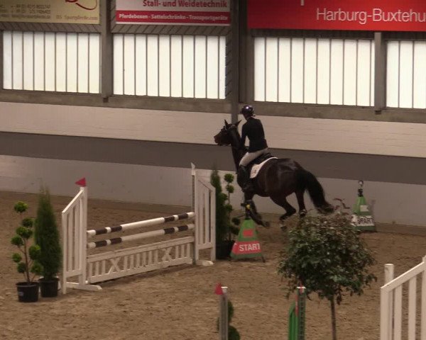 Reitturnier Luhmühlen 2020