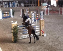 jumper Camira 76 (Oldenburg show jumper, 2007, from Casio)