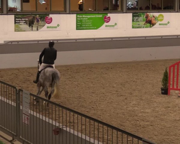 Reitturnier Luhmühlen 2020