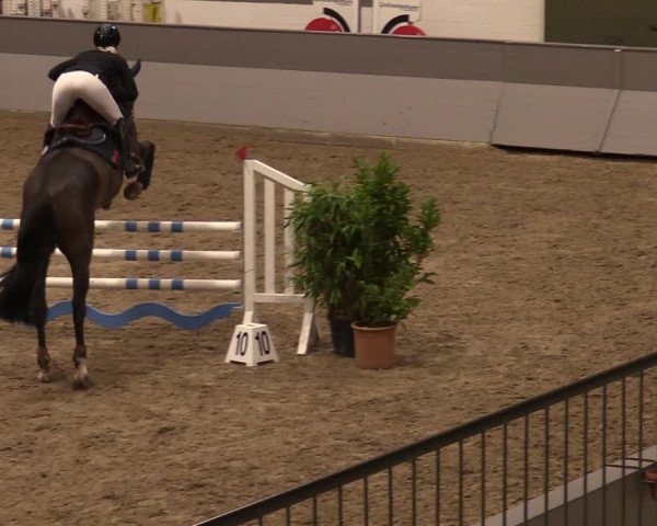 Reitturnier Luhmühlen 2020