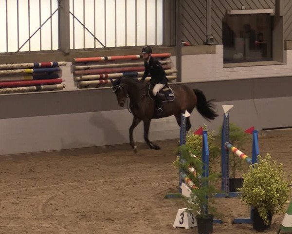 Reitturnier Luhmühlen 2020