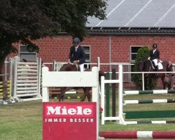 jumper Fairytale Princess D (Rhinelander, 2008, from Filius Bedo)