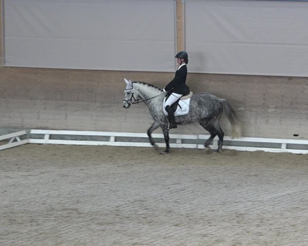 Reitturnier Schaffhausen 2020