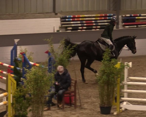 Reitturnier Luhmühlen 2020