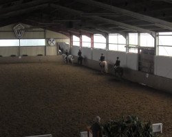 dressage horse Adlatus D (German Riding Pony, 2008, from Amarillys Sensation D)