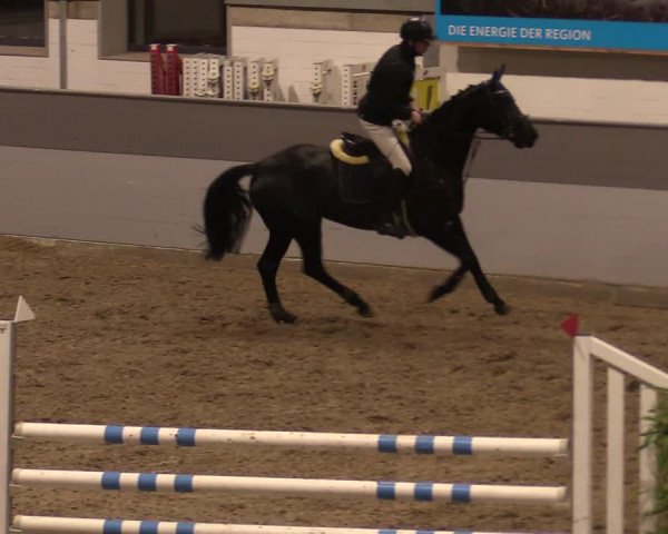 Reitturnier Luhmühlen 2020