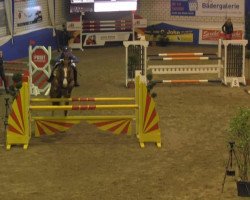 jumper Miss Marilyn (KWPN (Royal Dutch Sporthorse), 2009, from Marius Claudius)