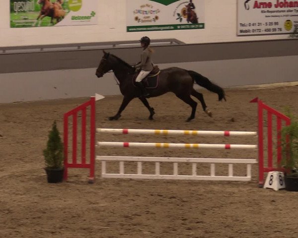 Reitturnier Luhmühlen 2020