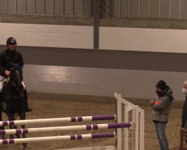 Reitturnier Luhmühlen 2020