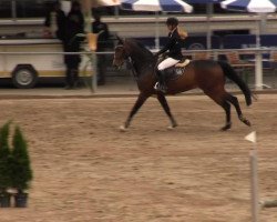 Caballo de salto Carlchen Exklusive (Oldenburgués, 2008, de Clinton H)