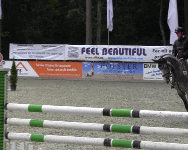 jumper Chaccolou (Mecklenburg, 2007, from Chacco-Blue)