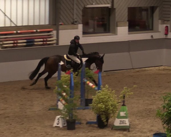 Reitturnier Luhmühlen 2020