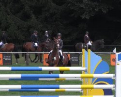 jumper Chupi (Zangersheide riding horse, 2006, from Chin Chin)
