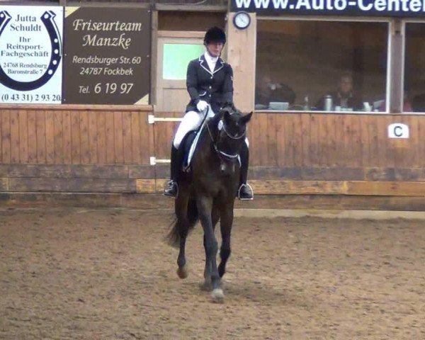 dressage horse Mara Stella Cadente (Trakehner, 2007, from Heops)