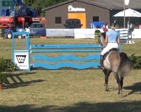 jumper Carlos Bjn (Swedish Warmblood, 2007, from Careful 28)
