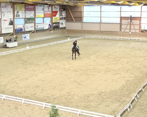 Reitturnier Schaffhausen 2020