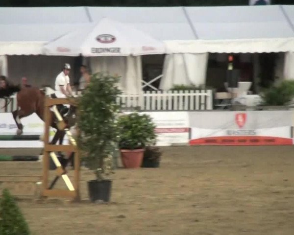 jumper Neytiri (KWPN (Royal Dutch Sporthorse), 2005, from Epilot)