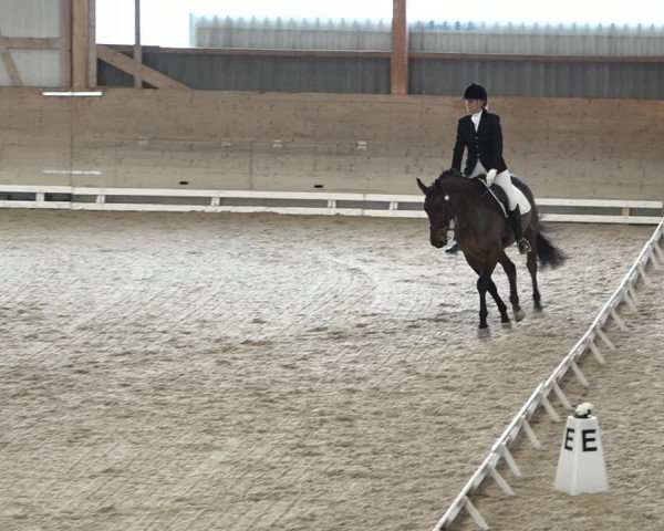 Reitturnier Schaffhausen 2020