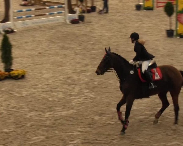 jumper Grace Kelly R (Rhinelander, 2003, from Grosso's Erbe)