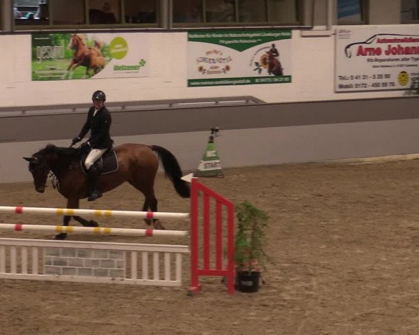 Reitturnier Luhmühlen 2020