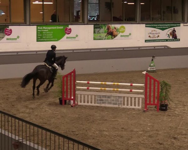 Reitturnier Luhmühlen 2020