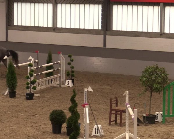 Reitturnier Luhmühlen 2020