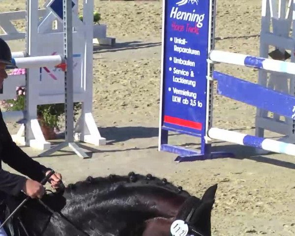 broodmare Abrakadabra 27 (Württemberger, 2007, from Acordelli)