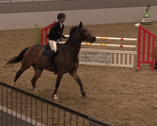 Reitturnier Luhmühlen 2020
