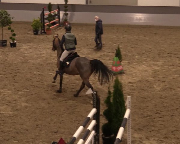 Reitturnier Luhmühlen 2020
