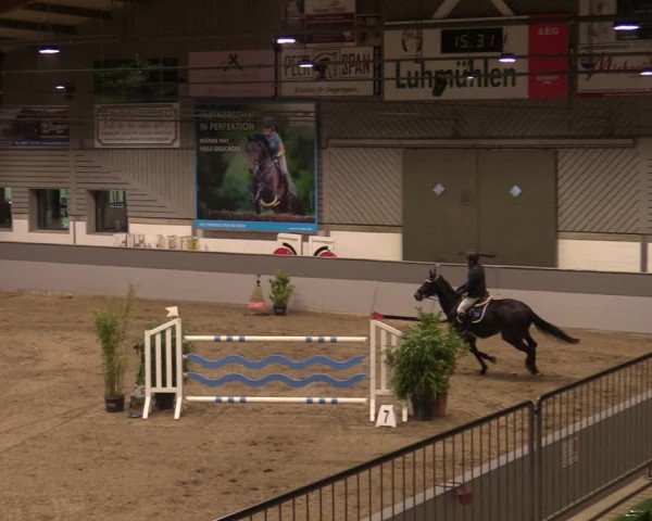 Reitturnier Luhmühlen 2020