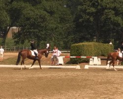 dressage horse Flower of Manni (Westphalian, 2009, from Fürst Piccolo)
