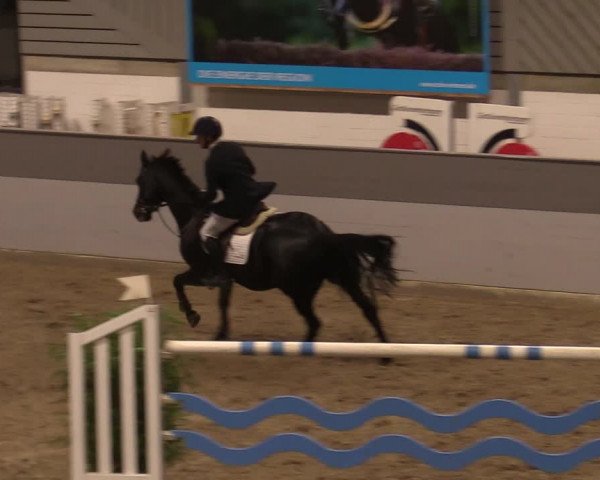 Reitturnier Luhmühlen 2020