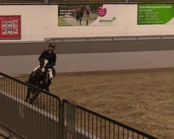Reitturnier Luhmühlen 2020