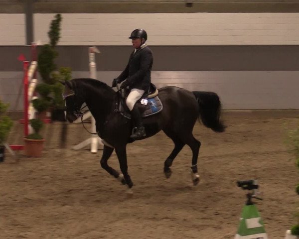 Reitturnier Luhmühlen 2020